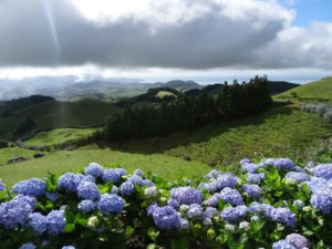 Miradouro do Pico do Carvao