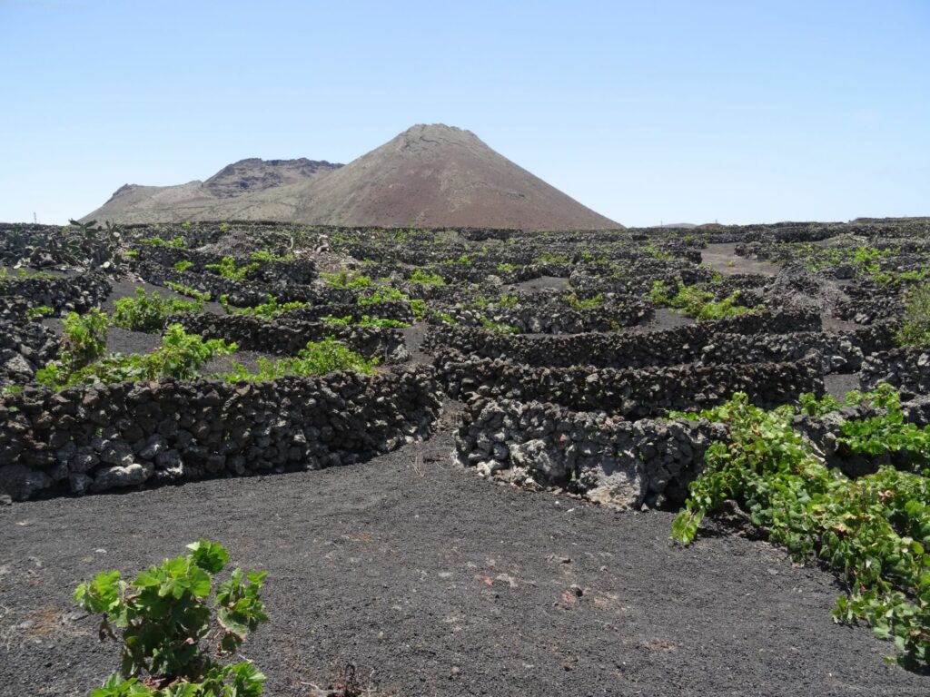 Monte Corona Lanzarote