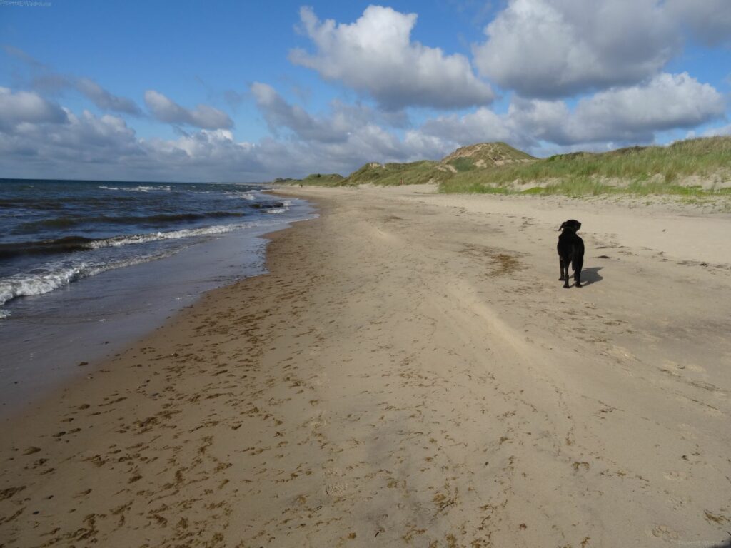 Plage de la Baie de Kattegat