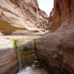 Jordanie