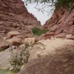 Wadi Al Hasa